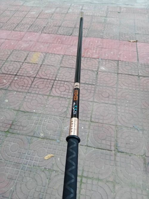 漁具投資年度報告 技術創(chuàng)新驅動增長，市場細分趨勢顯現